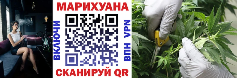 Купить  Соль-Илецк  Канабис White Widow 